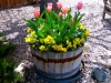 Container Bulbs 2